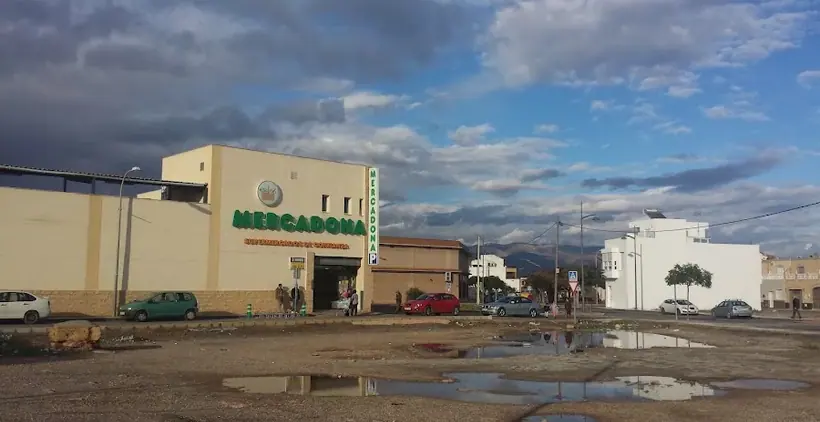 Mercadona en Calle Fuentes, 17, La Mojonera