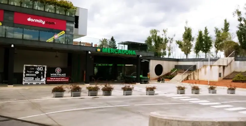 Mercadona en Avenida Alcalde Rovira Roure, 87, Lleida