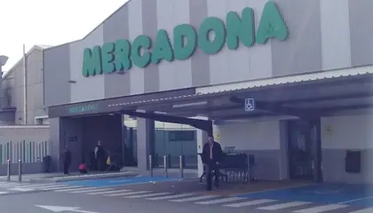 Mercadona Calle Vía Complutense, 111, Alcalá de Henares