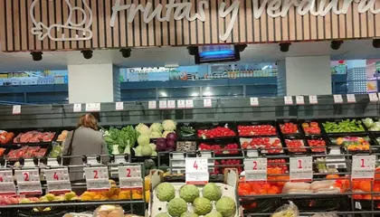 Alcampo Supermercado P.º de Fernando el Católico, 52, Zaragoza