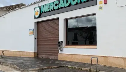 Mercadona Calle Ejido de Calatrava, 30, Almagro