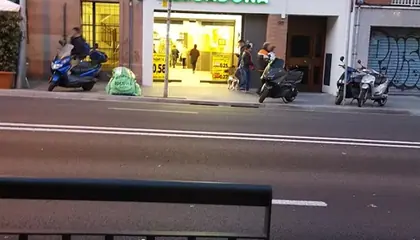Mercadona Carretera Decollblanc, 90, Barcelona