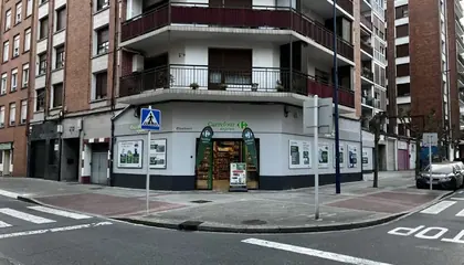 Carrefour Express Calle Uribarribarri, 6, Etxebarri