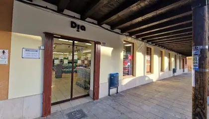 Dia Plaza Grano 22, Mansilla de las Mulas