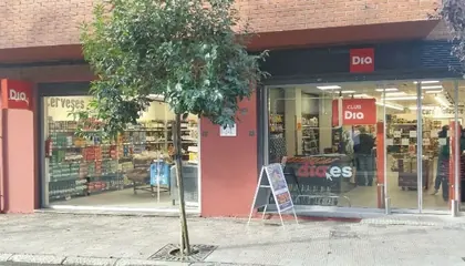 Dia Avenida Victoriano Muñoz 31, Pont de Suert