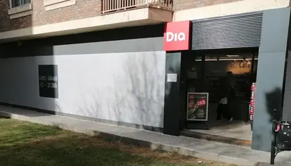 Dia Calle Andres Reguera Anton 6, Segovia