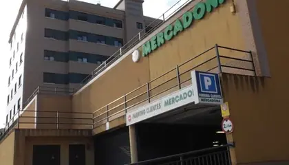 Mercadona Calle Pintor Luís Pardo, 1, Gijón