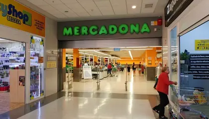 Mercadona Calle Pintor Juan Guillermo, 6 (c.c. la Minilla), Las Palmas de Gran Canaria