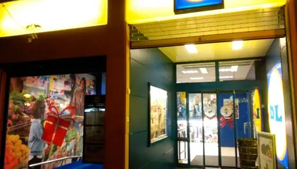 Lidl Secundino Esnaola Kalea 39, Donosti
