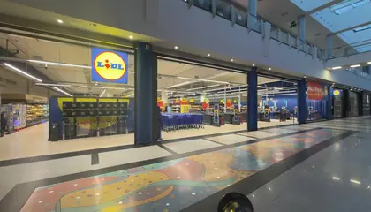 Lidl Calle Pablo Picasso s/n, Pinto