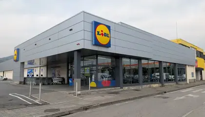 Lidl Vega Vieja Zelaigunea, Sestao