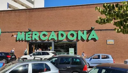 Mercadona Paseo Gregorio Mayans, 24, Oliva