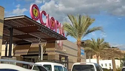 Mercadona Avenida Obispo Victorino Oliver, 2, Orihuela