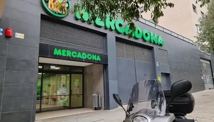 Mercadona Calle Frederic Mompou, 5, Sant Boi de Llobregat