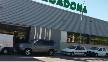 Mercadona Calle Joventud, 35, Sant Boi de Llobregat