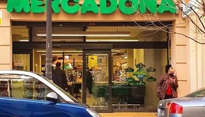 Mercadona Calle Maestro Gozalbo, 5, Valencia
