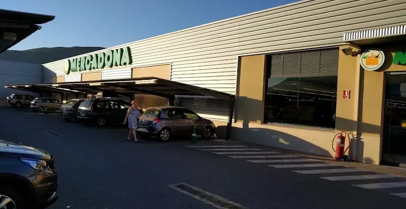 Mercadona en Avenida Alcalde Fernando Alemany, 36, Pego