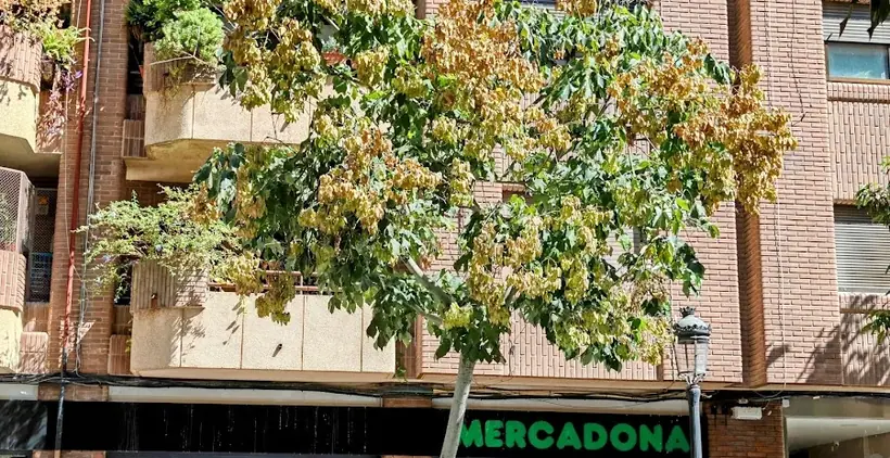 Mercadona en Avenida Cardenal Benlloch, 91, Valencia